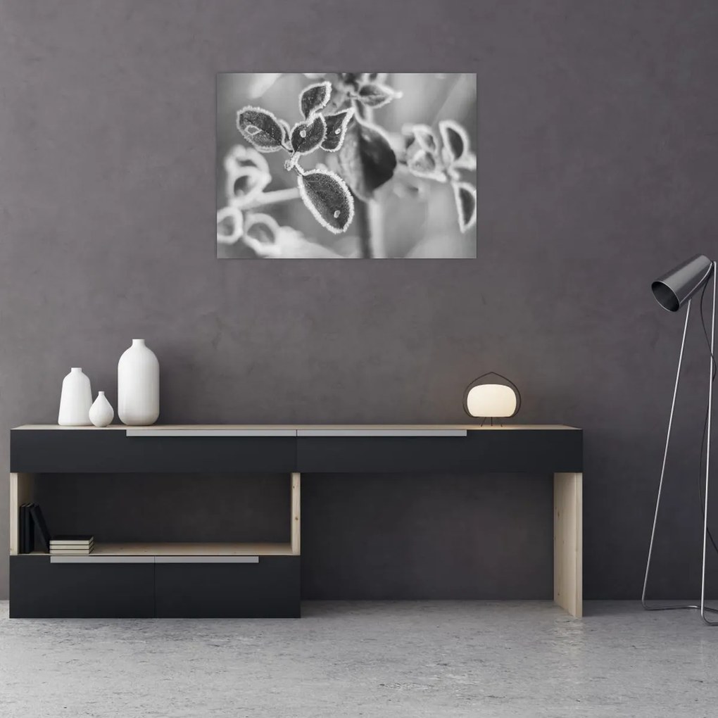 Tablou - Natura în toamnă (70x50 cm)