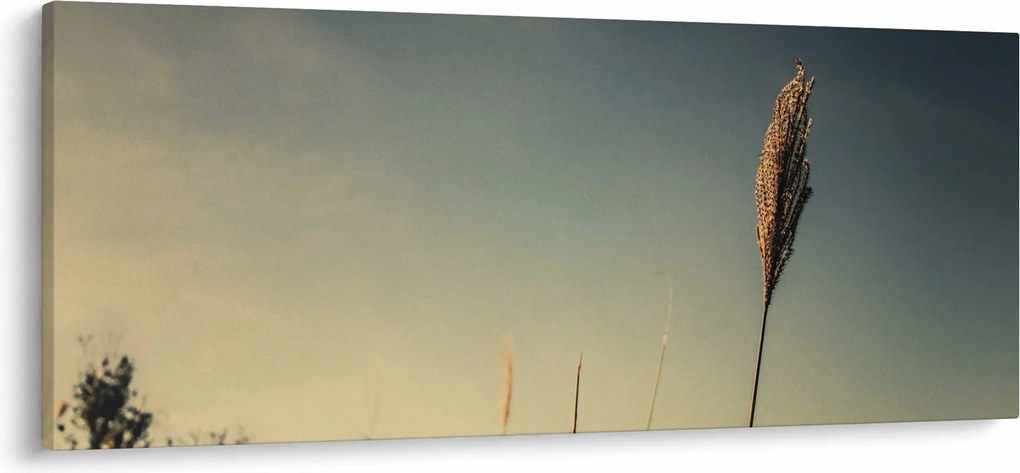 Tablou - Iarba (120x50 cm)