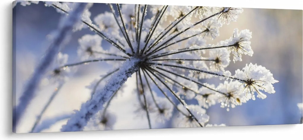 Tablou - Flori înghețate (120x50 cm)