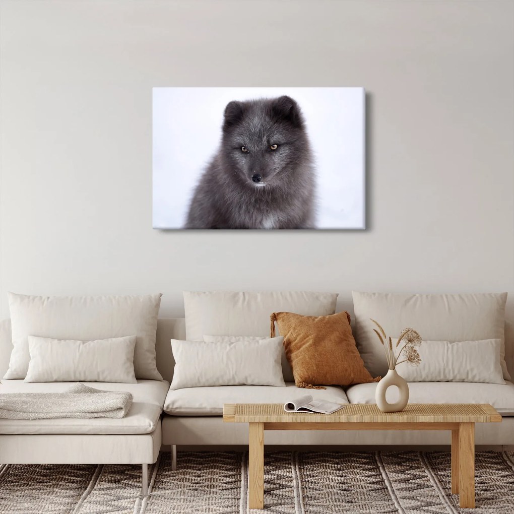 Tablou cu vulpe polară (90x60 cm)