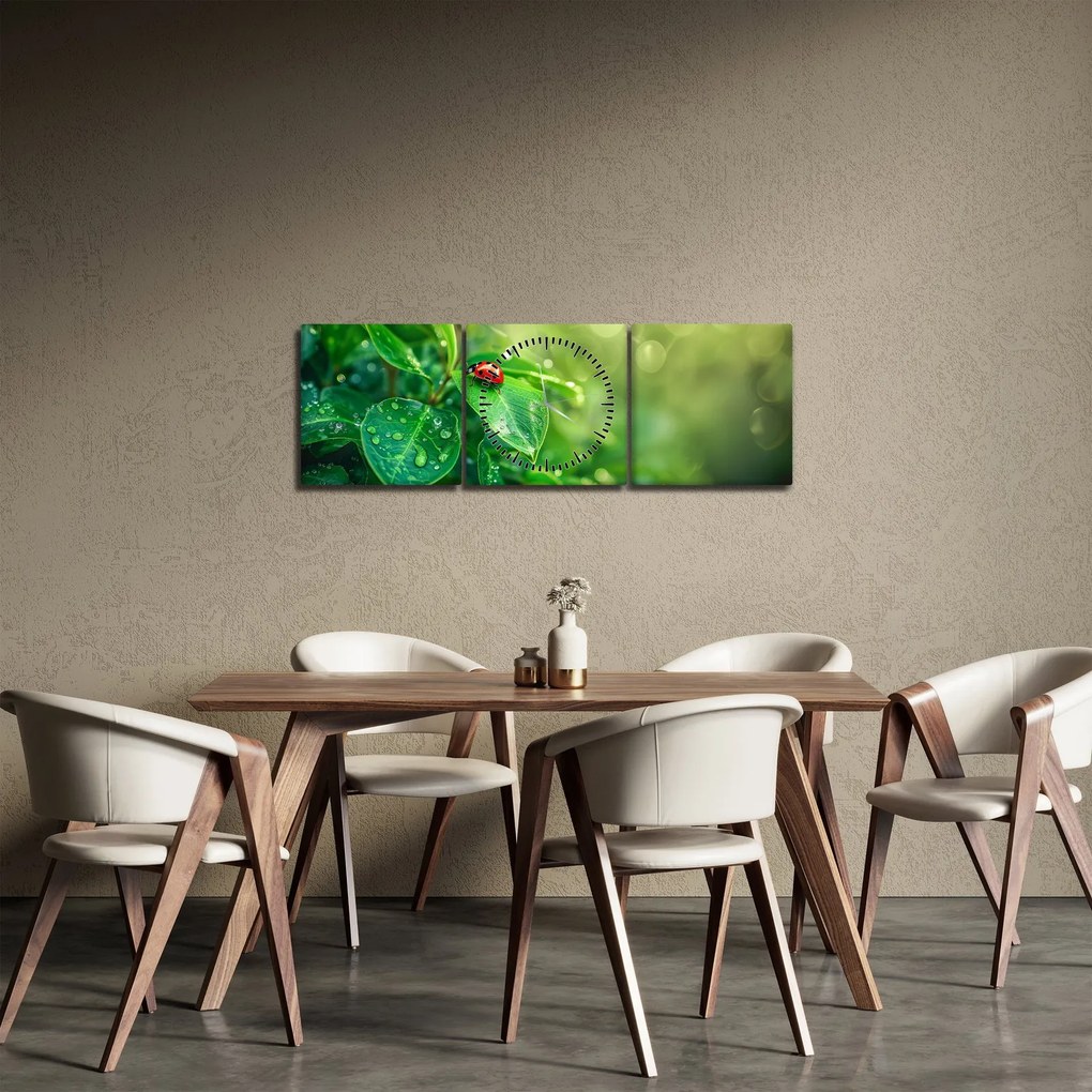 Tablou - Buburuza (cu ceas) (90x30 cm)