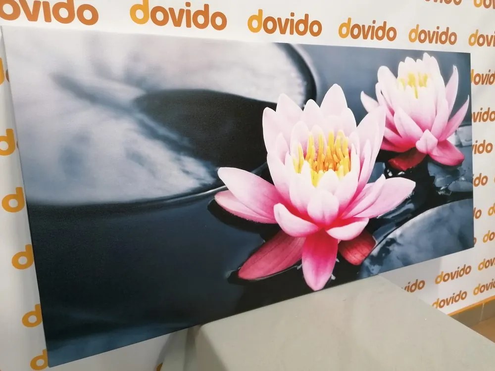 Tablou floare de lotus pe lac