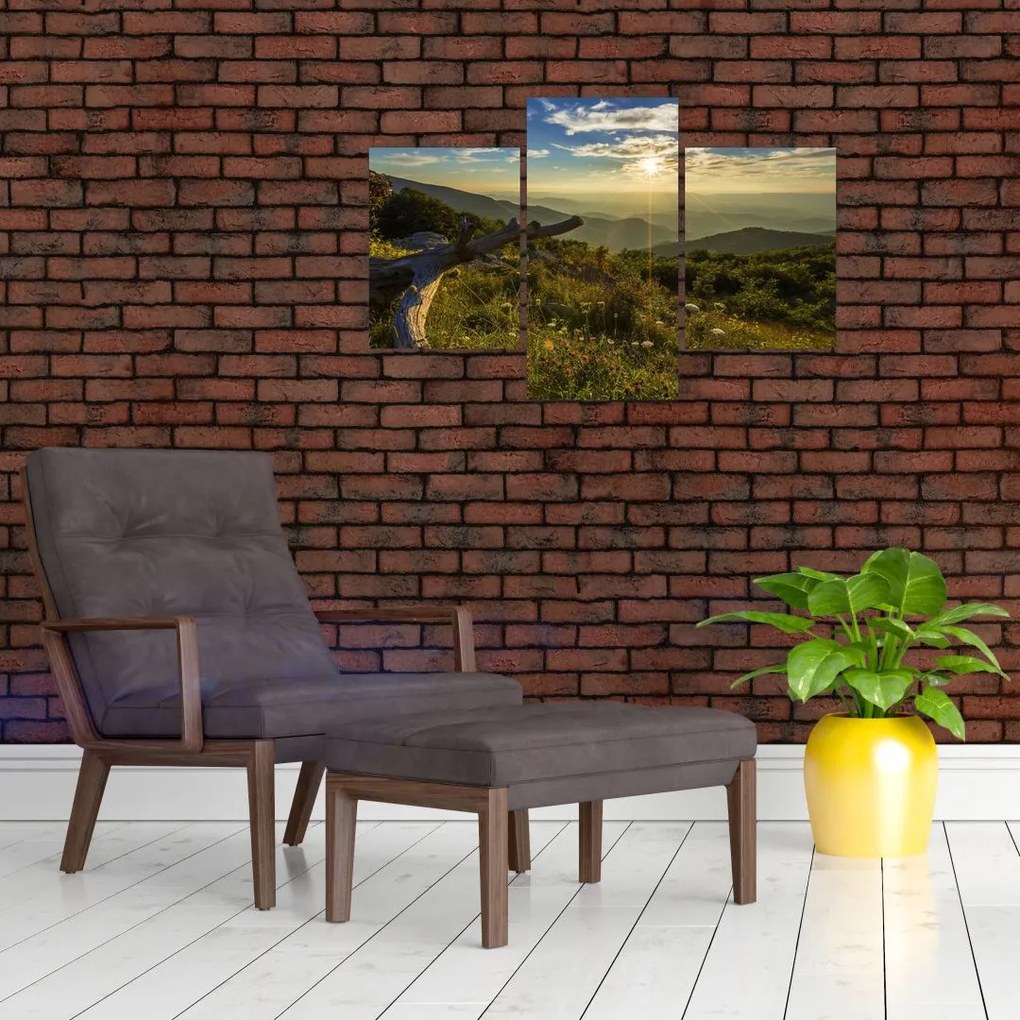 Tablou - Priveliștea (90x60 cm)