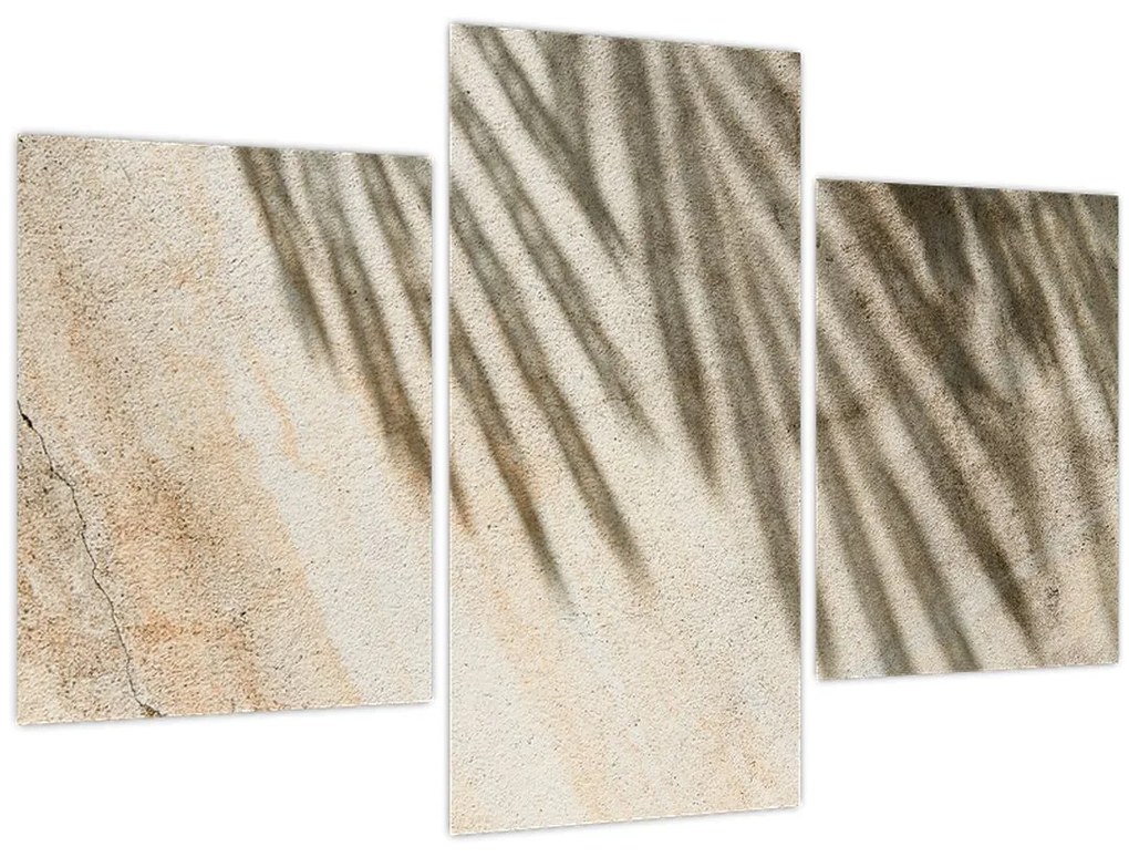 Tablou - Umbre (90x60 cm)