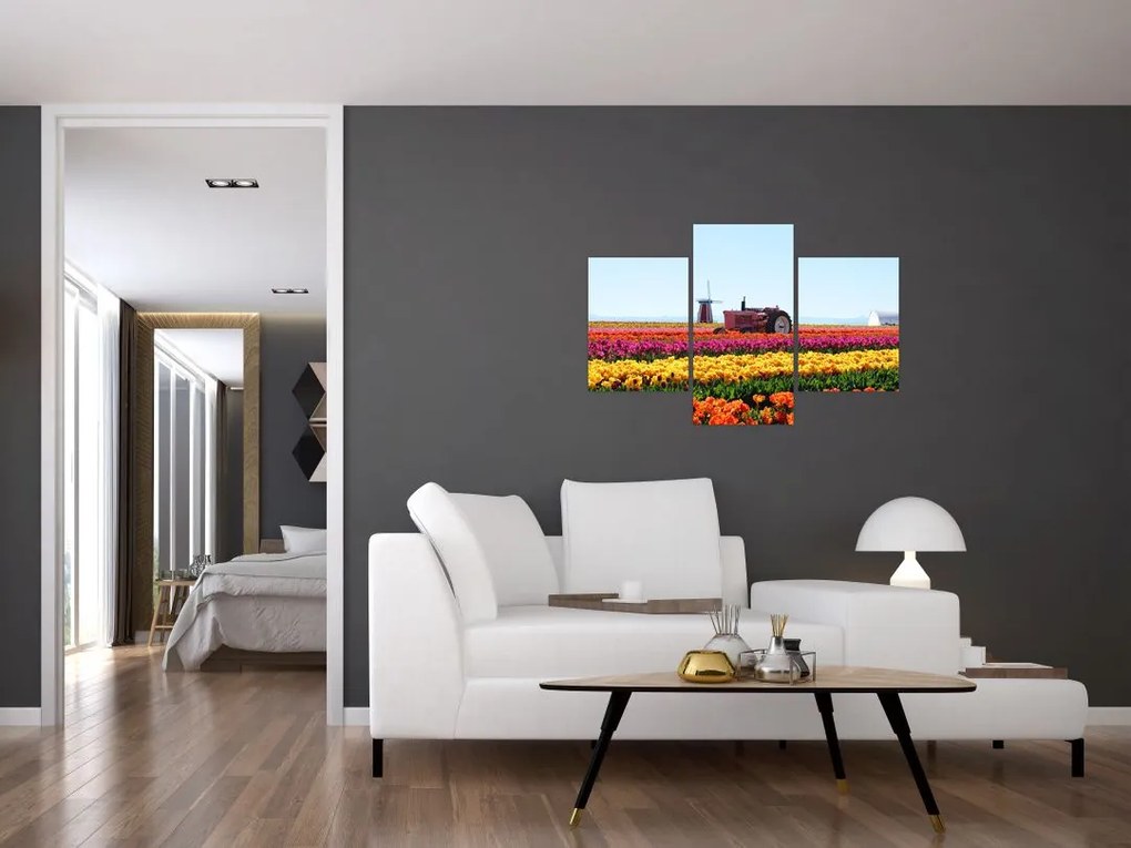 Tablou cu farma de lalele (90x60 cm)