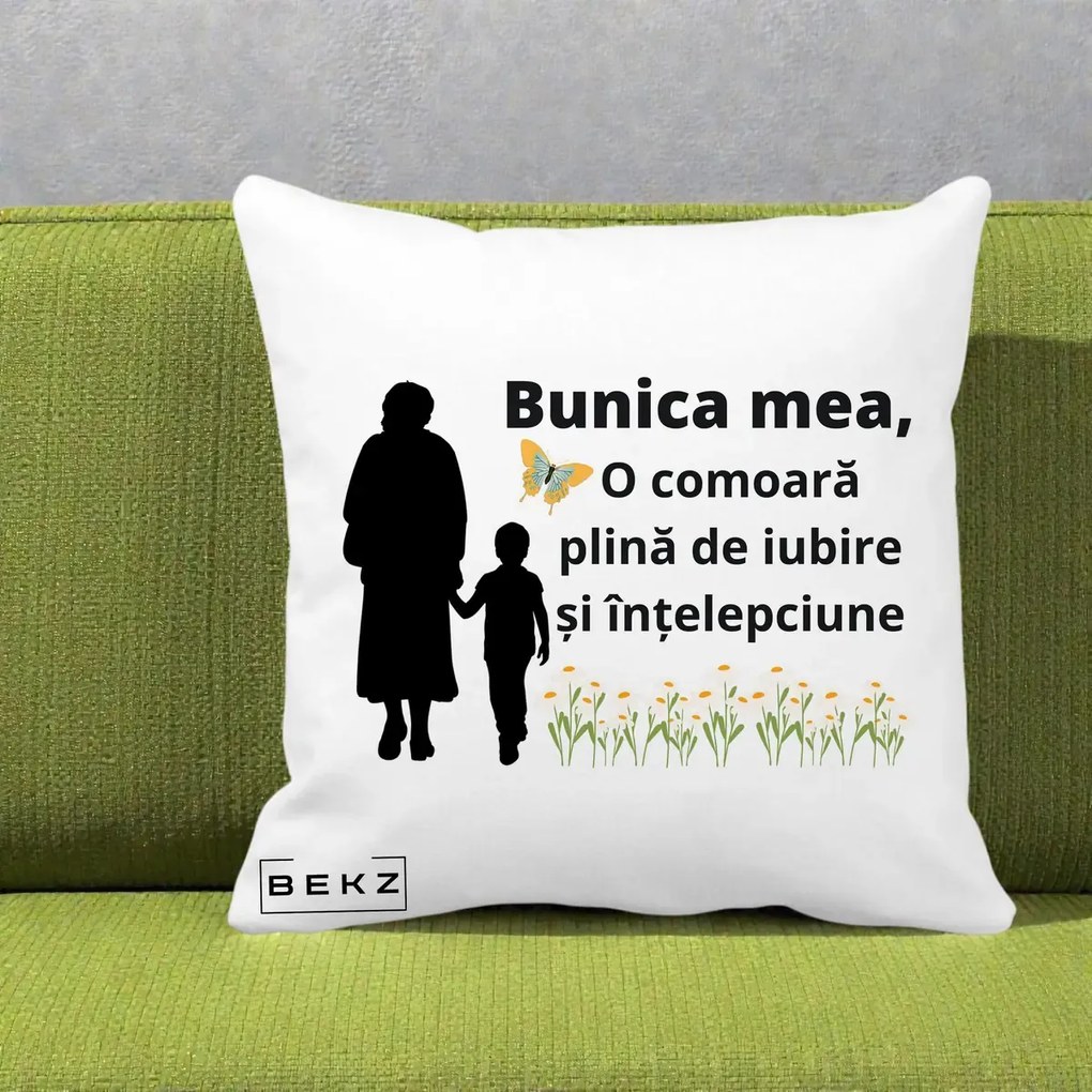 Cadou pentru Bunica - Perna Personalizata Bunica Mea Comoara cu Fluture si Baietel, 40x40 cm, Alba Mata, Husa Detasabila, Perna Inclusa, BEKZ®