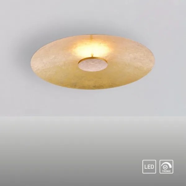 Plafonieră LED dimabilă Paul Neuhaus 8132-12 PLATE LED/25W/230V