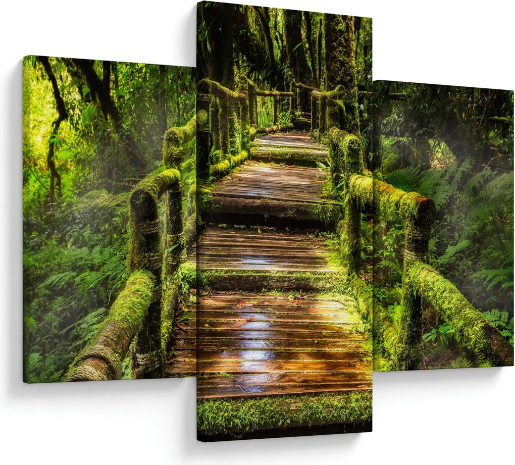 Tablou cu scări într-o pădure tropicală (90x60 cm)