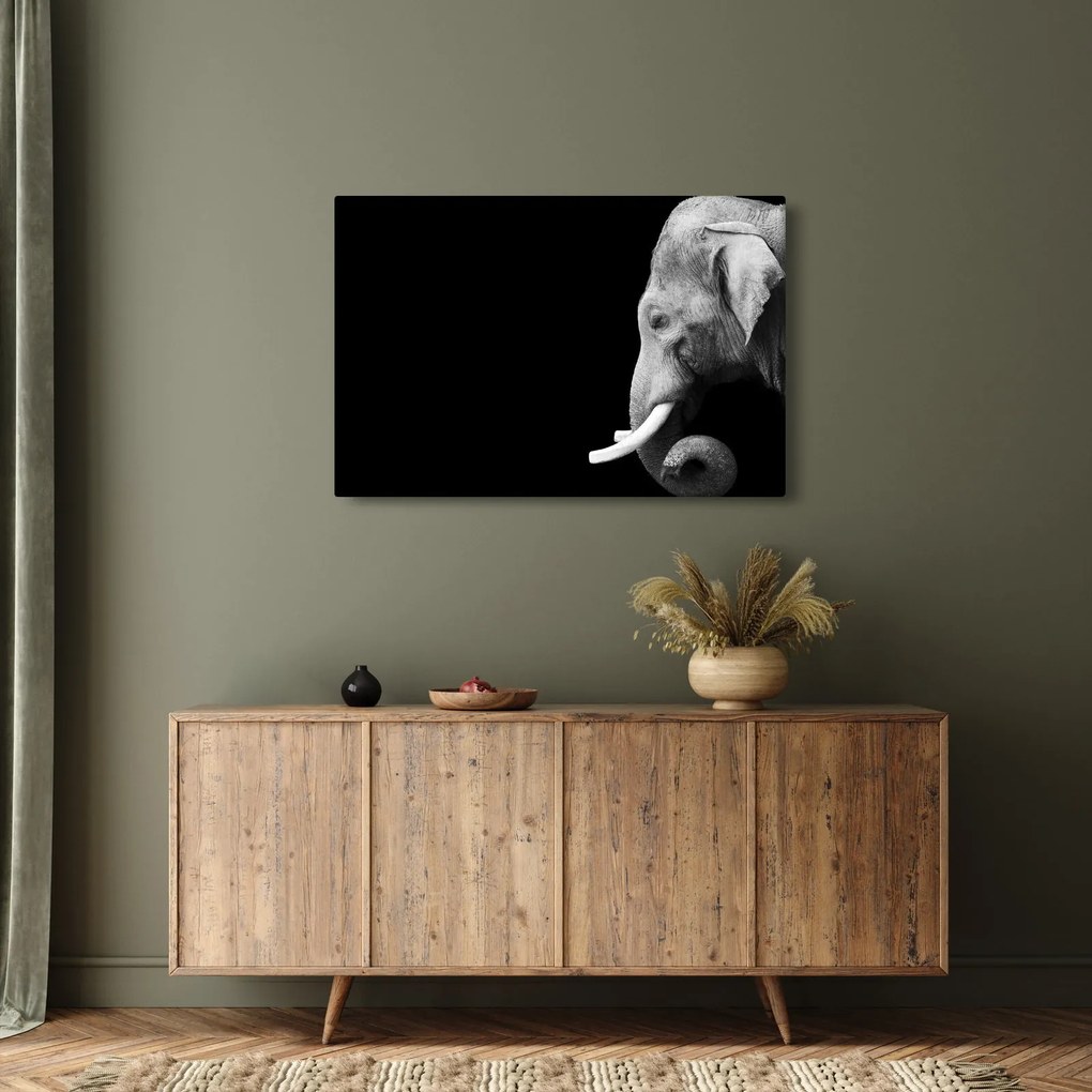 Tablou - Elefant (90x60 cm)