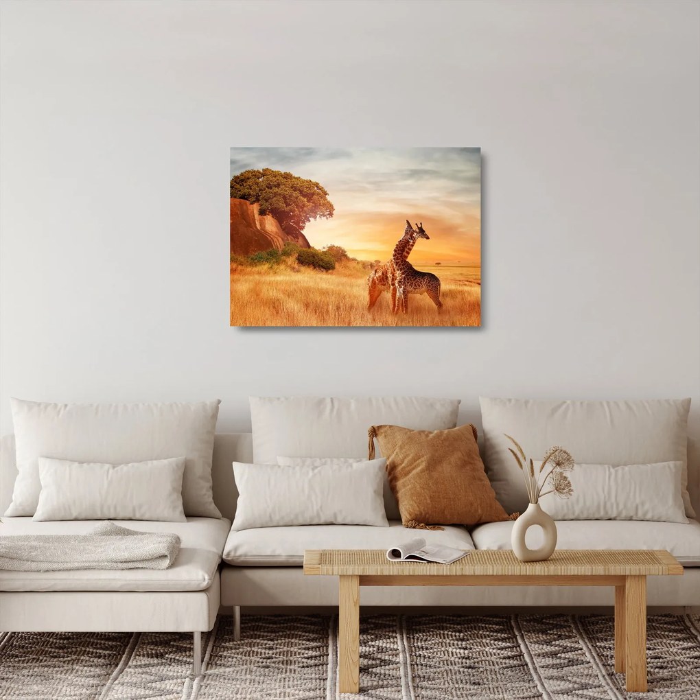 Tablou pe sticlă Girafe în Africa (70x50 cm)