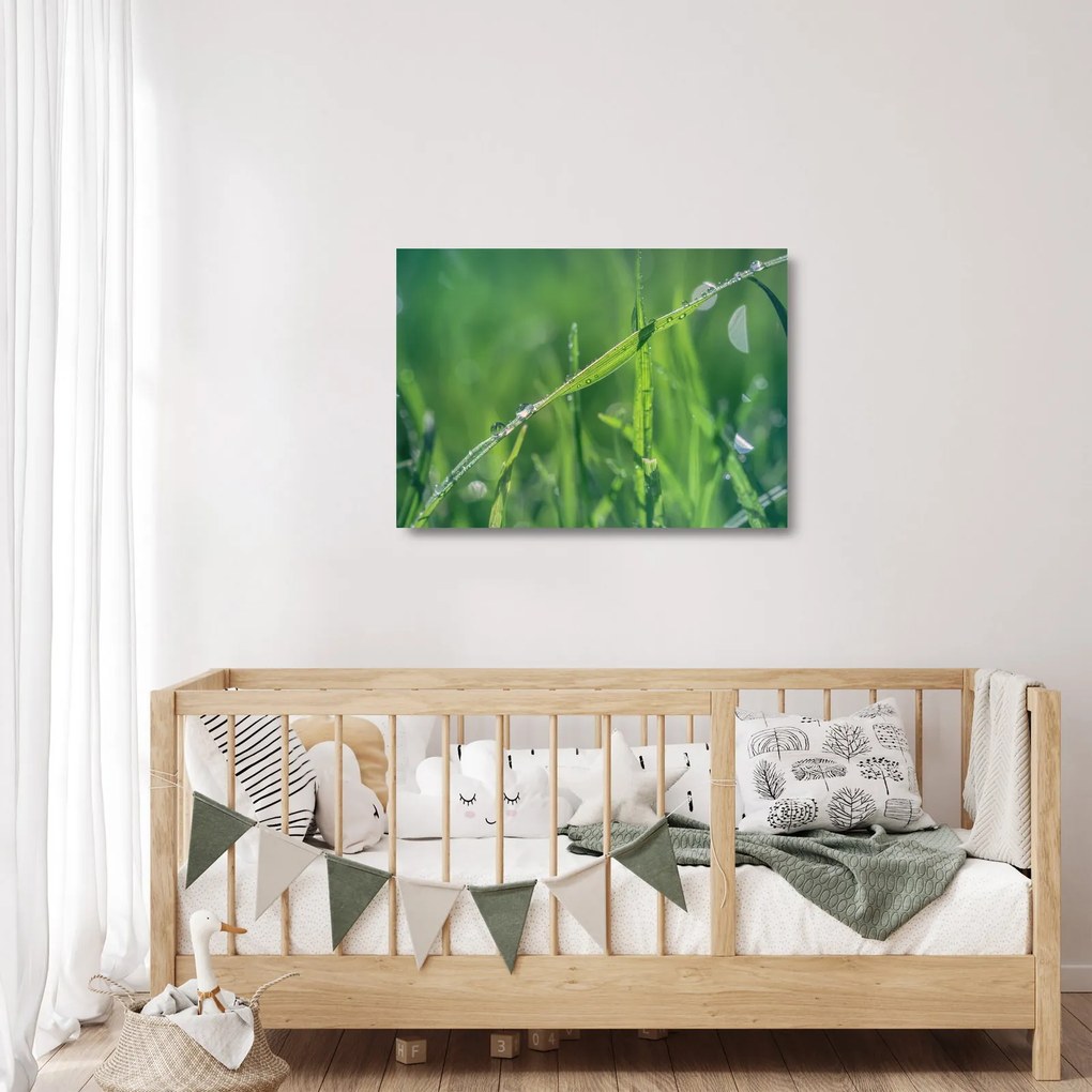 Tablou pe sticlă cu picături de rouă (70x50 cm)