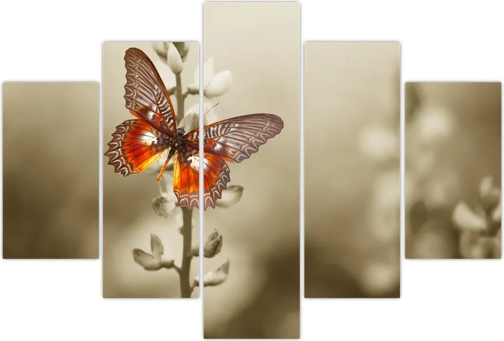 Tablou cu fluture (150x105 cm)