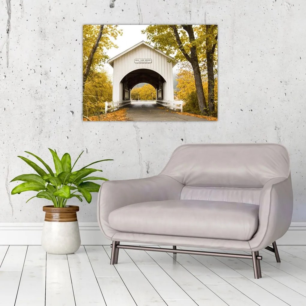 Tablou cu podul în Oregon (70x50 cm)