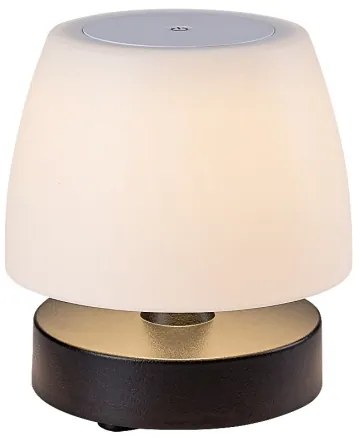 Rabalux 7040 ODERA LED lampă de birou reglabilă LED/3W/5V 2000 mAh IP44