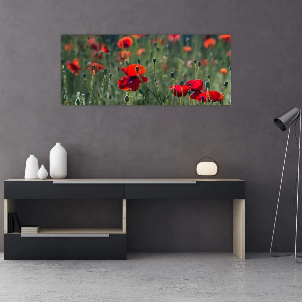 Tablou - Lunca cu maci (120x50 cm)