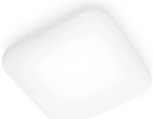 Plafonieră LED MAUVE LED/12W/230V 4000K Philips