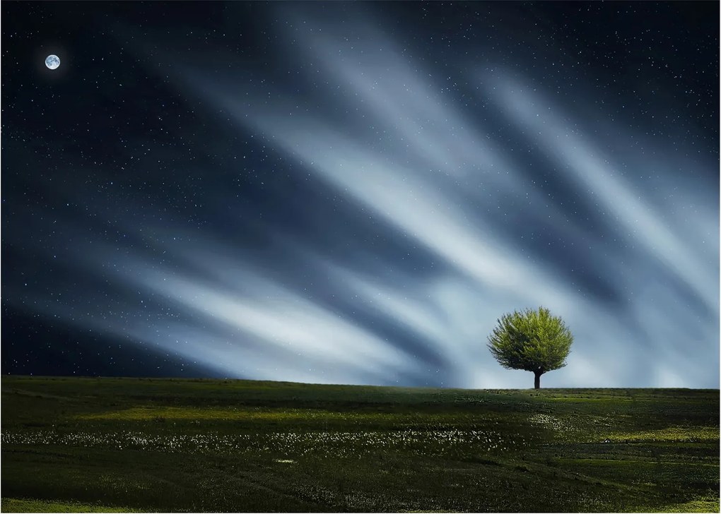 Tablou -Aurora boreală (70x50 cm)