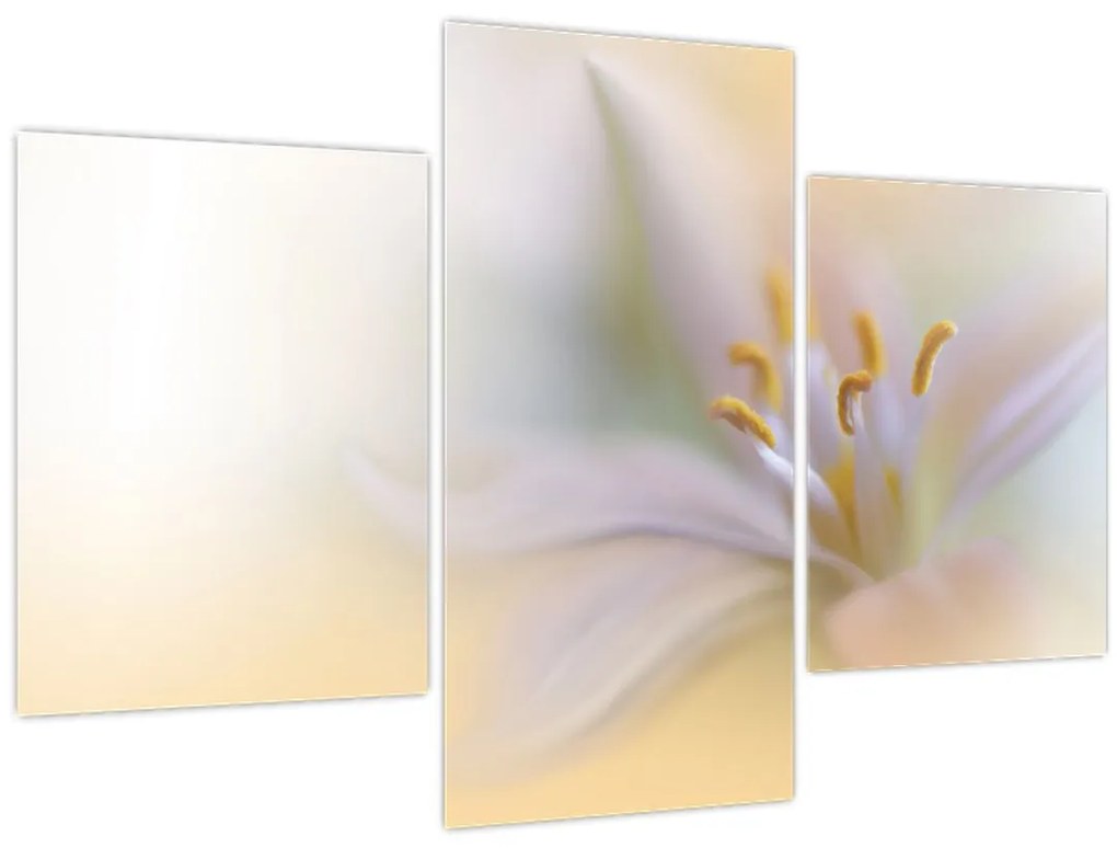 Tablou - Floare fragedă (90x60 cm)