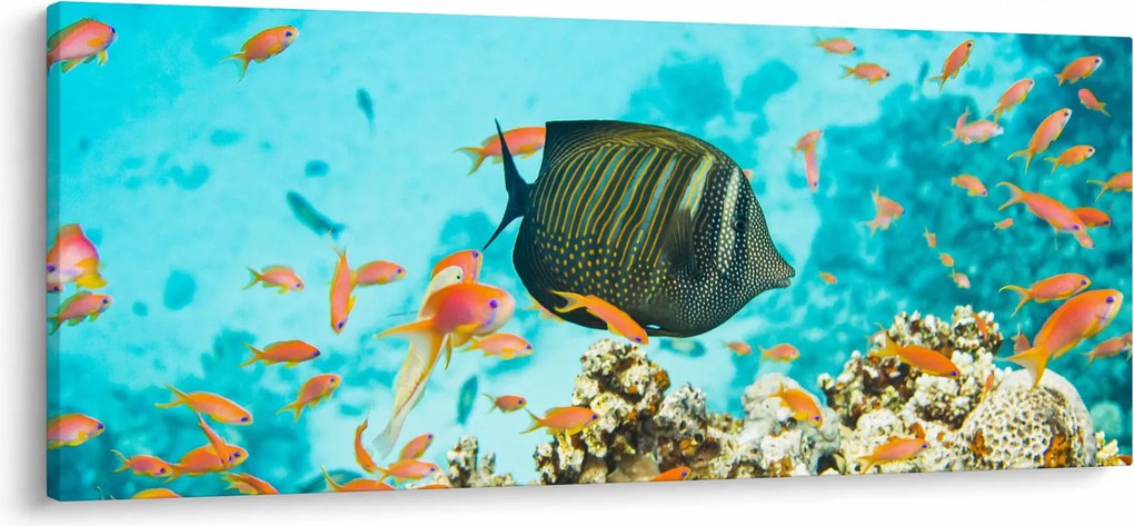 Tablou lumii submarine (120x50 cm)