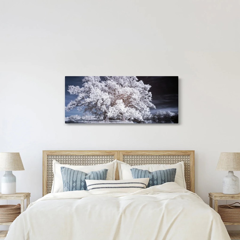 Tablou - Albă ca Zăpada Copac (120x50 cm)