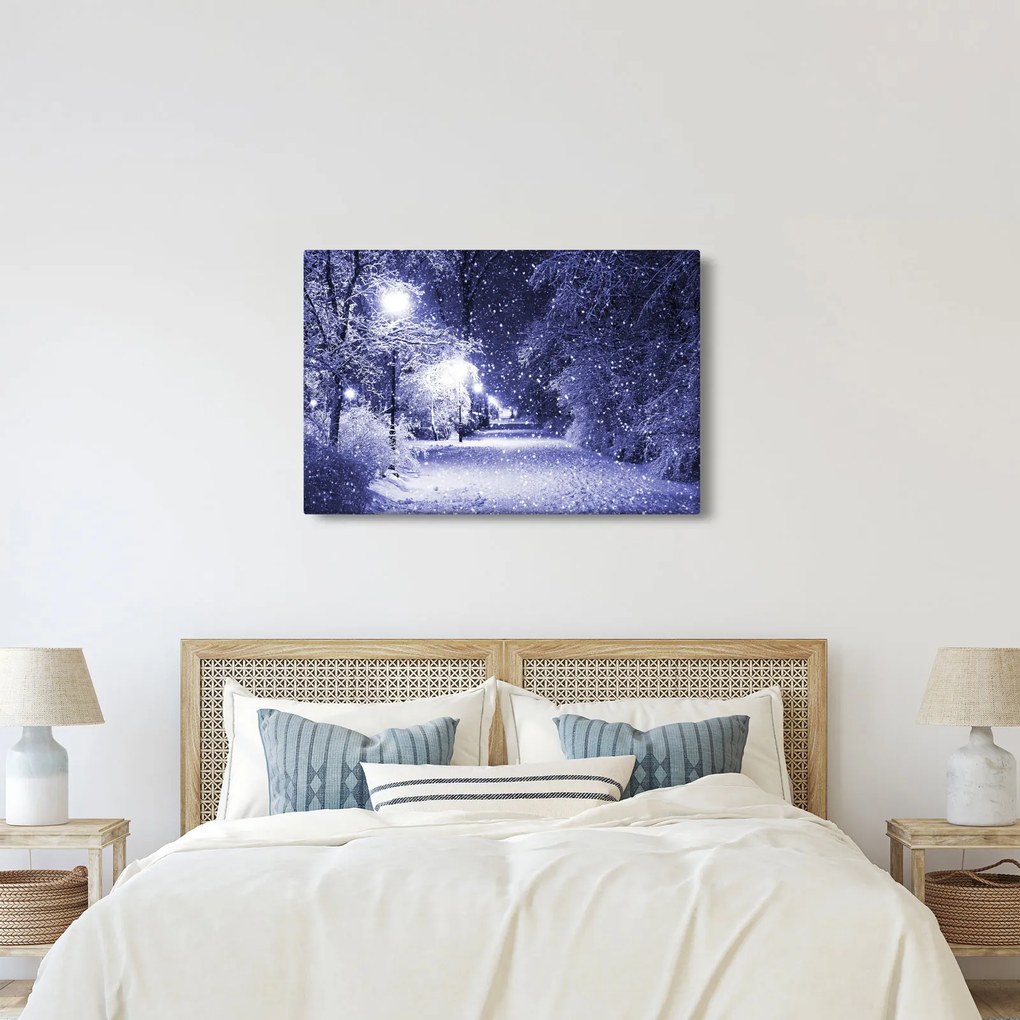 Tablou - Noaptea magică de iarnă (90x60 cm)