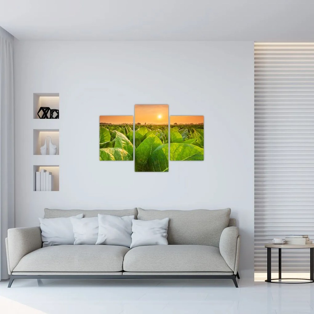 Tablou - Câmp (90x60 cm)