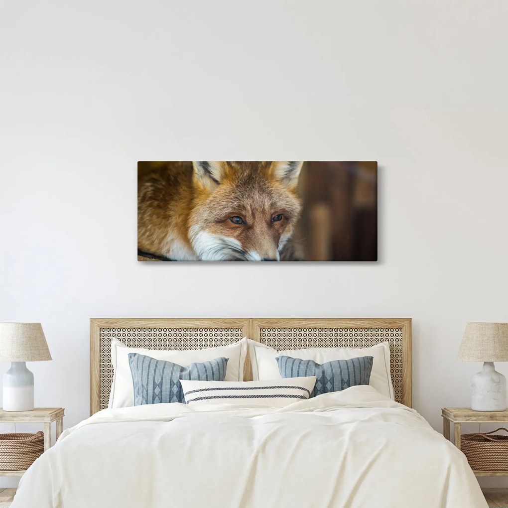 Tablou cu vulpe (120x50 cm)