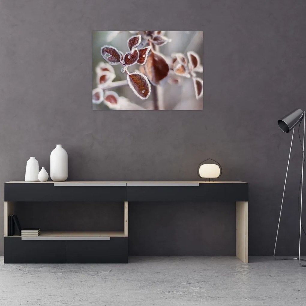 Tablou - Detaliu frunze (70x50 cm)