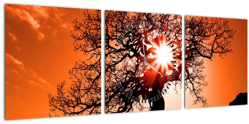 Tablou - Fag la apus de soare (cu ceas) (90x30 cm)