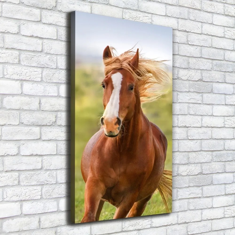Imprimare tablou canvas Un cal în galop
