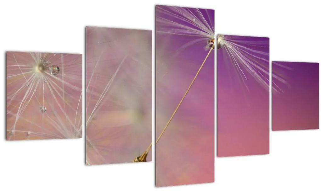 Tablou cu  floarea norocul (125x70 cm), în 40 de alte dimensiuni noi