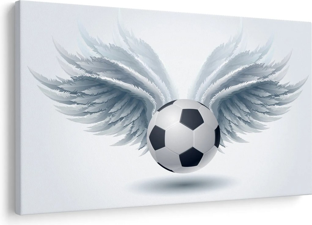 Tablou - Balon cu aripi (90x60 cm)