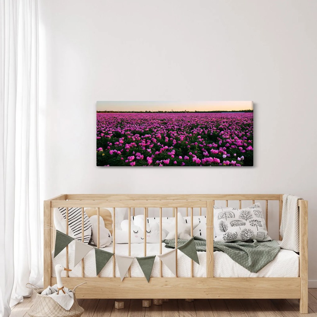 Tablou - Pajiștea cu lalele violet (120x50 cm)