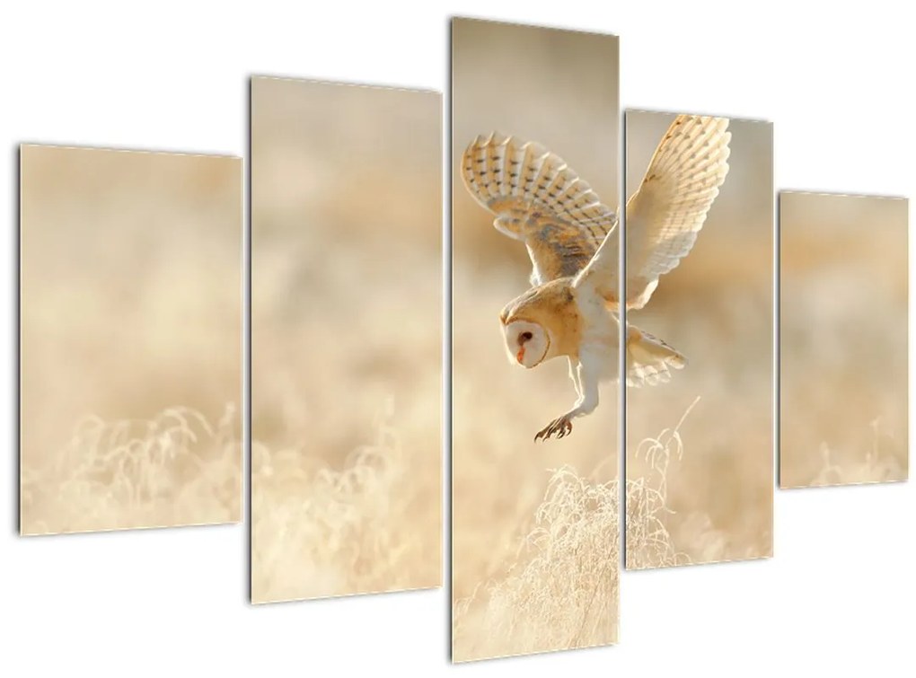 Tablou - Bufnița roșie (150x105 cm)