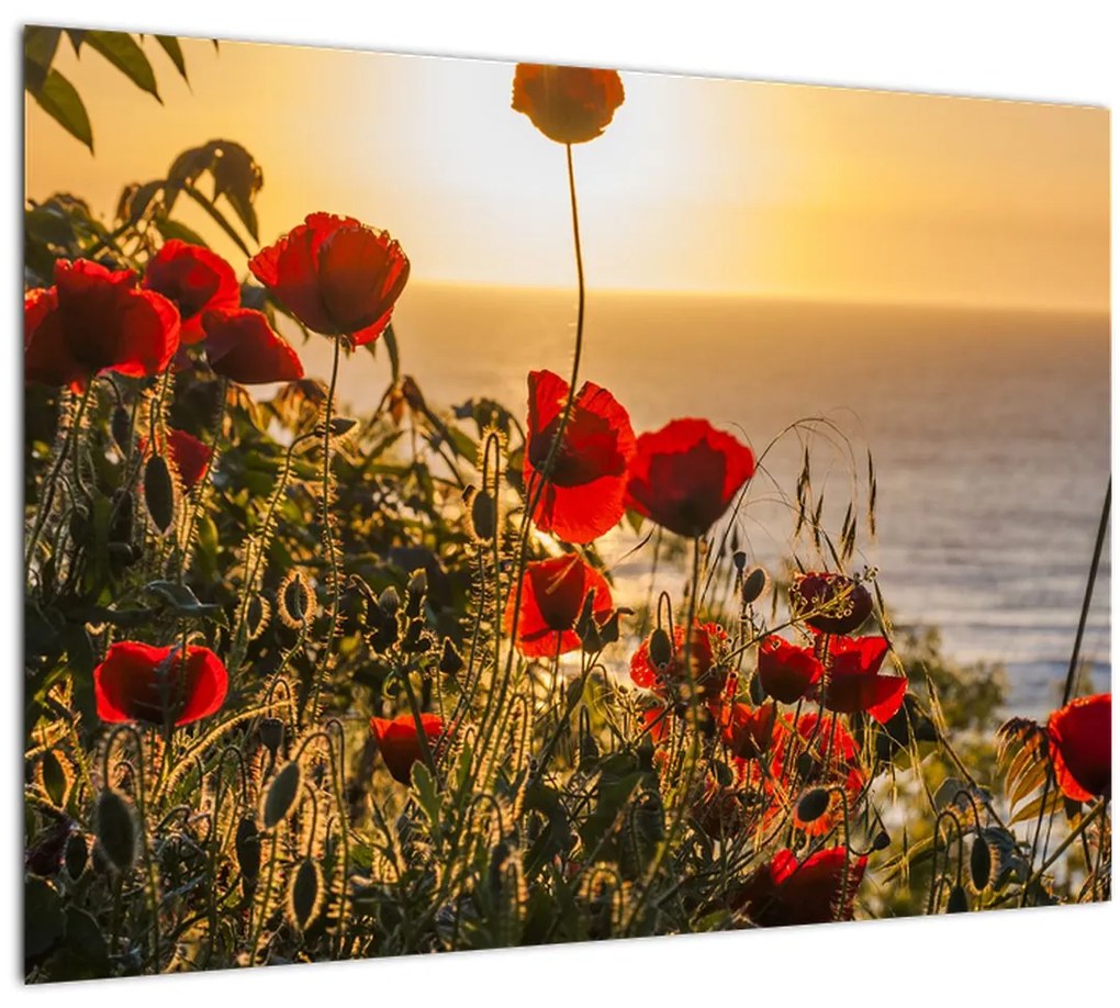 Tablou cu apus de soare cu flori de maci (70x50 cm), în 40 de alte dimensiuni noi