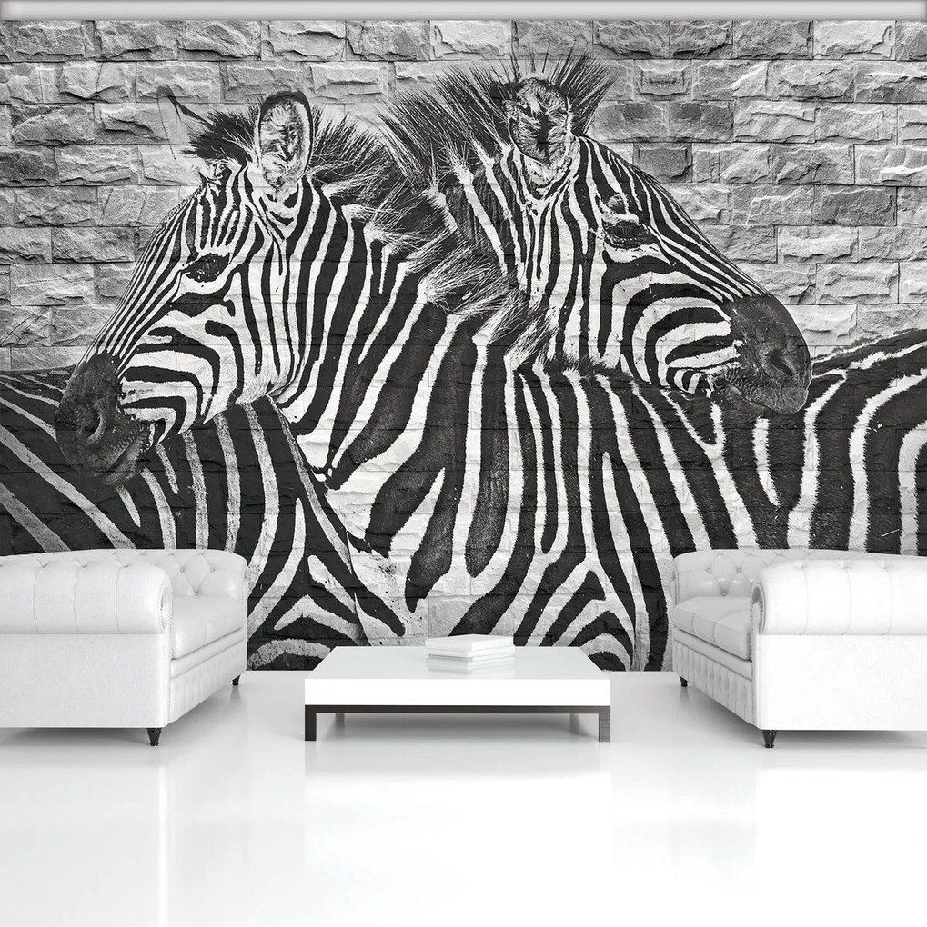 Fototapet - Zebre pe peretele din cărămizi (254x184 cm)