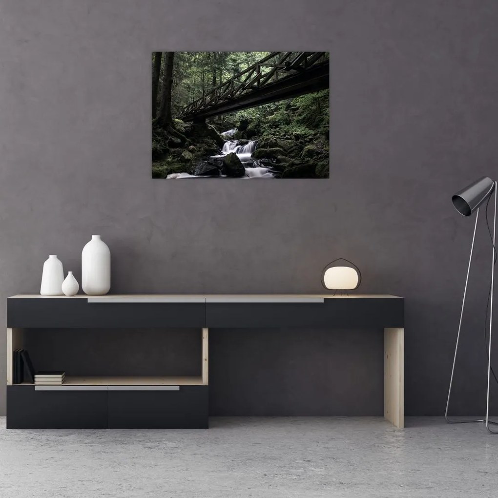 Tablou din pădurea neagră (70x50 cm)
