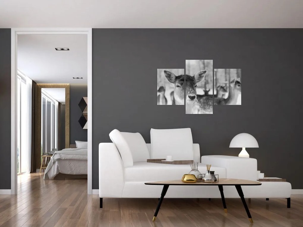 Tablou - Cerbi,alb-negru (90x60 cm)