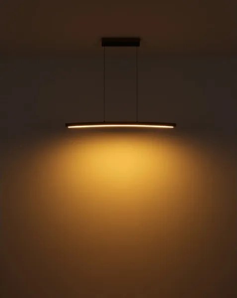 Globo 416080WH2 - Lustră LED dimabilă cu senzor tactil, suspendată pe cablu DORO LED/18W/230V 3000K