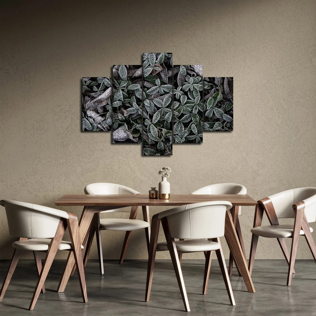 Tablou - Plante înghețate (150x105 cm)