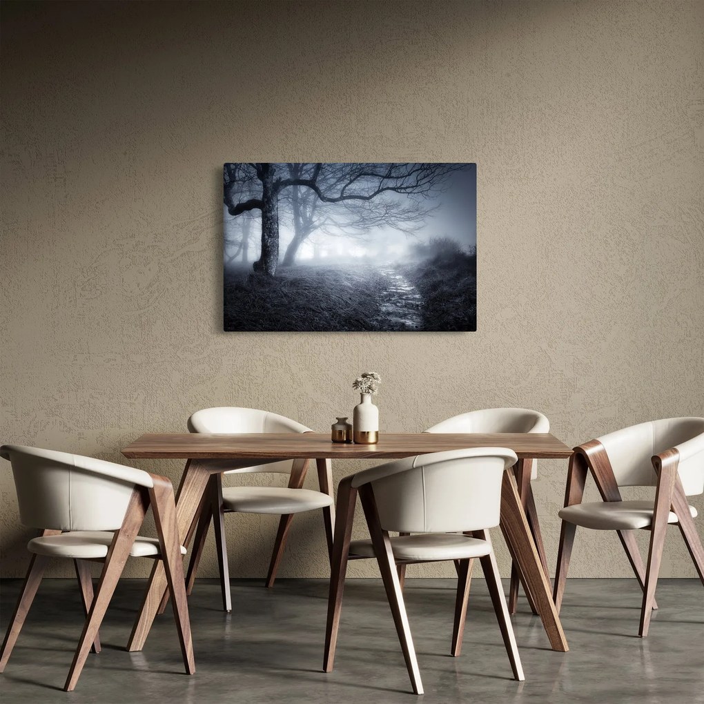 Tablou - Drum pin ceață (90x60 cm)