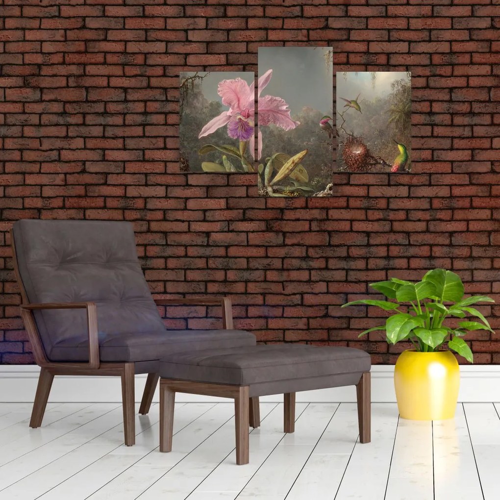 Tablou - Martin Johnson Heade, Cattleya Orchid and Three Hummingbirds, reproducere (90x60 cm)