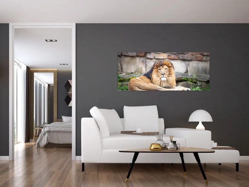 Tablou cu leu (120x50 cm)