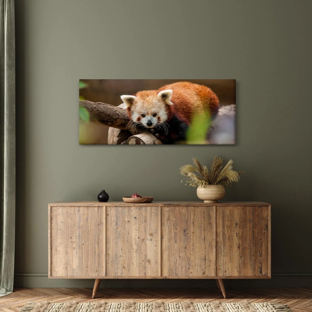 Tablou cu panda roșie (120x50 cm)