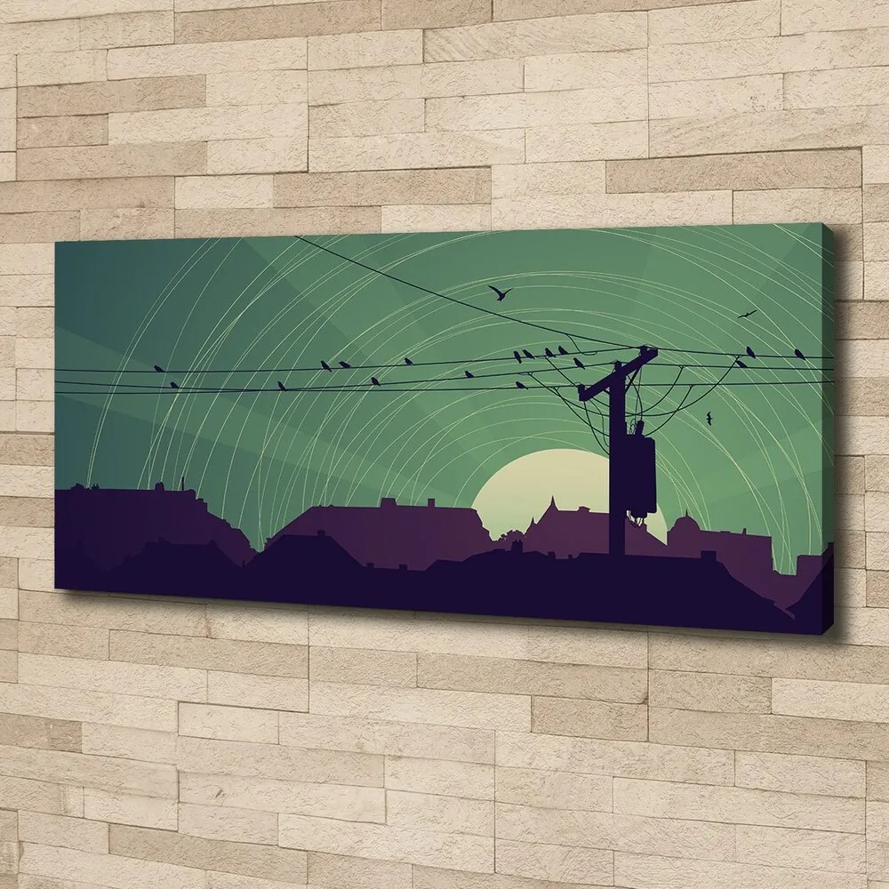 Tablou pe pânză canvas Oraș păsări
