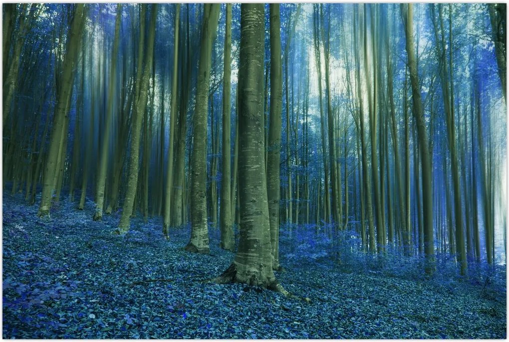 Tablou - Pădure albastră (90x60 cm)