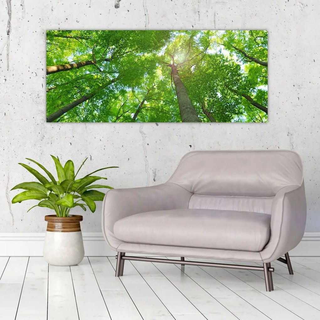 Tablou - Lunca (120x50 cm)