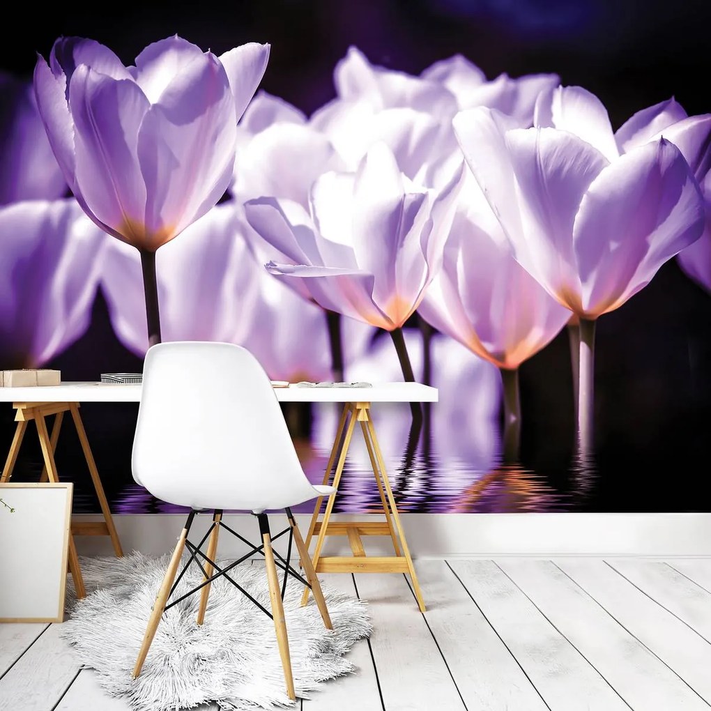 Fototapet - Flori - tonul violet (152,5x104 cm)