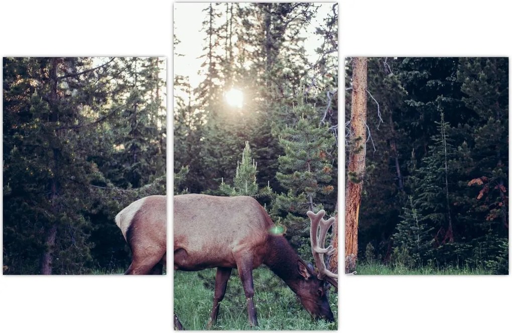 Tablou - Elan în poiană (90x60 cm)