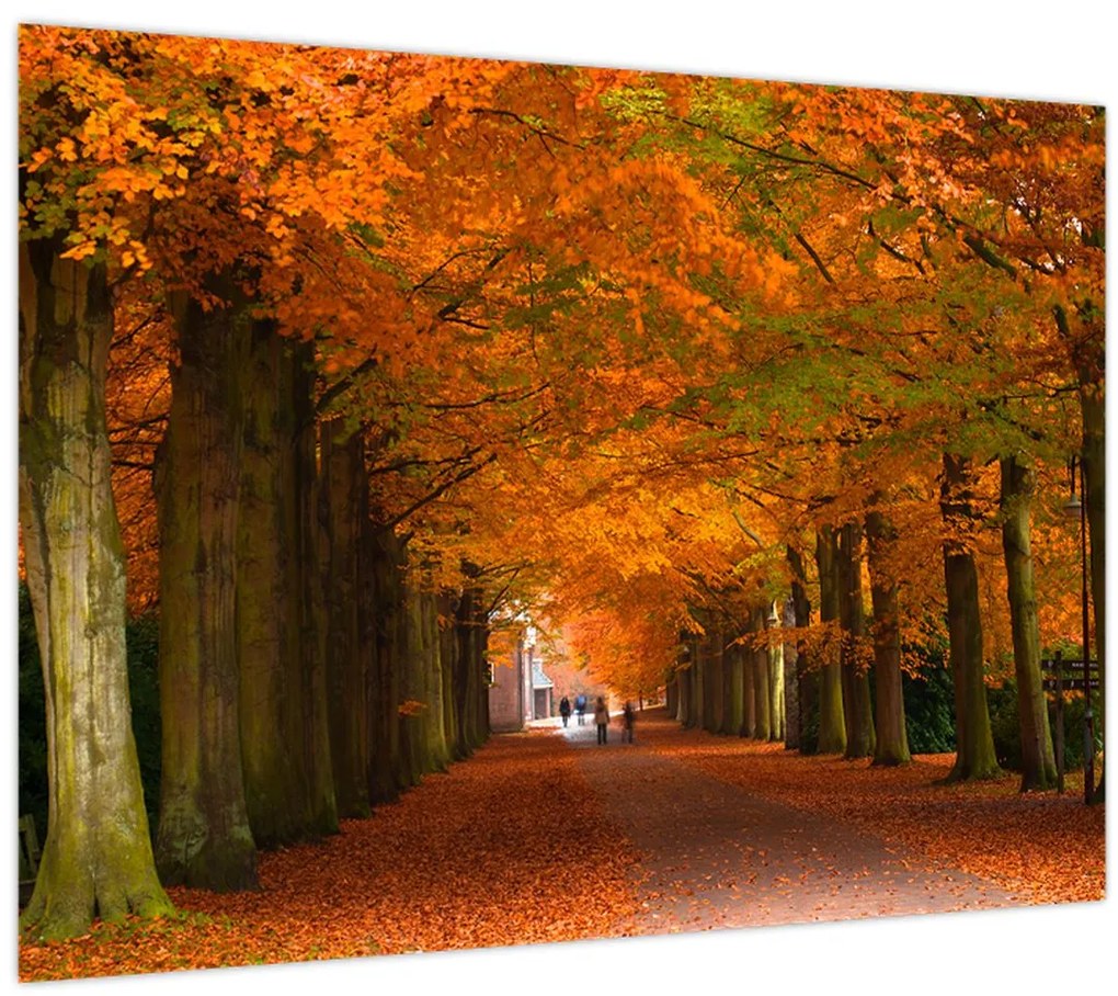 Tablou - Bulevardul de copaci în toamnă (70x50 cm)